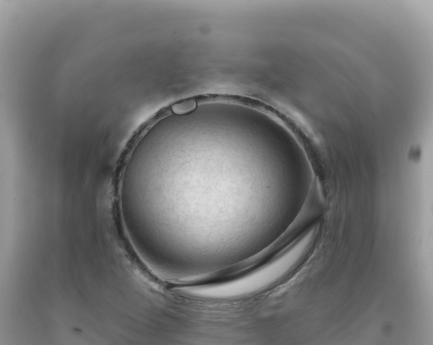 X0000092031264200709131612