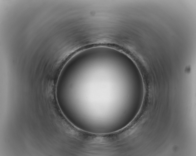 X0000092031265200709131612