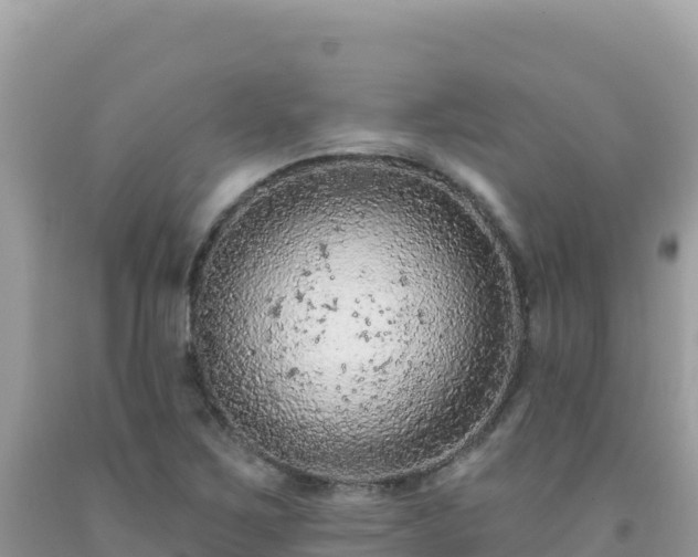X0000092031267200709131612