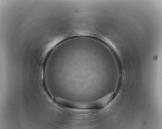 X0000092031269200709131612