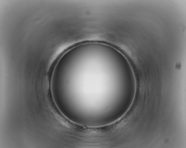 X0000092031270200709131612