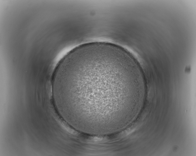 X0000092031271200709131611