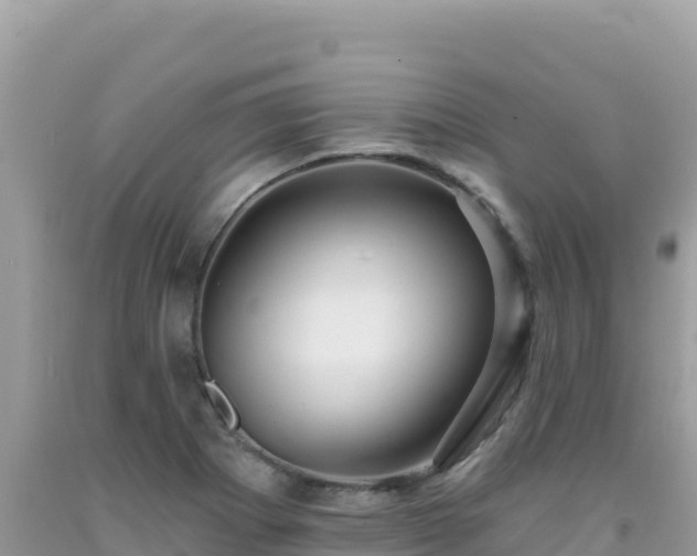 X0000092031273200709131611