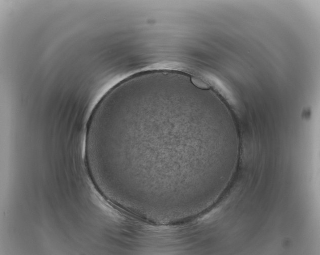 X0000092031276200709131611