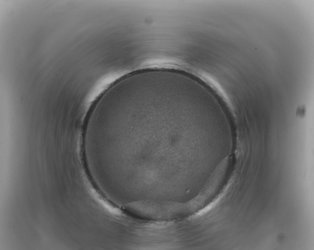 X0000092031277200709131611