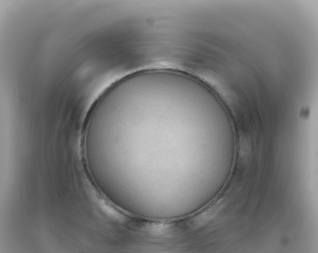 X0000092031278200709131611