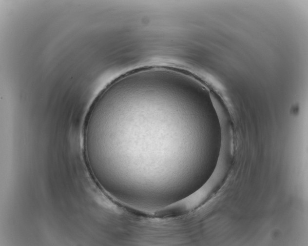 X0000092031280200709131611