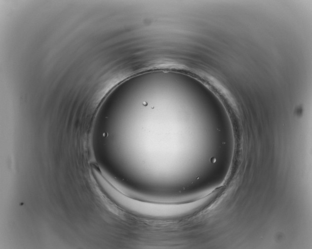 X0000092031281200709131611