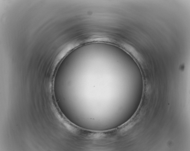 X0000092031282200709131611