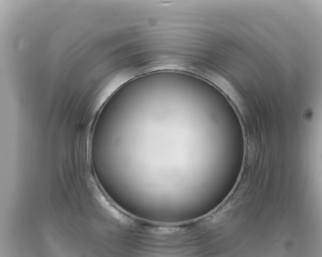 X0000092031290200709131611