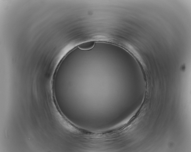 X0000092031291200709131611