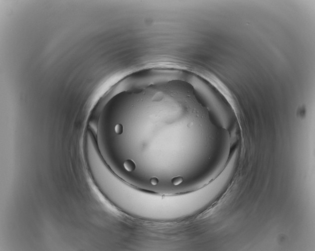 X0000092031293200709131611