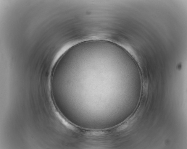 X0000092031294200709131611