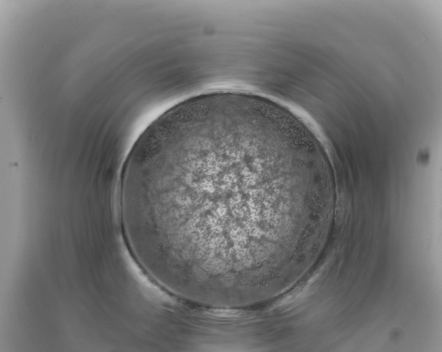 X0000092031295200709131611