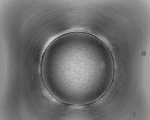 X0000092031296200709131611