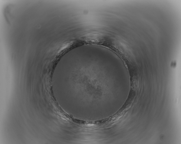 X0000092031297200709131610
