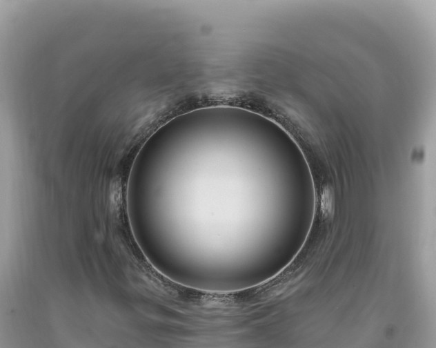 X0000092031299200709131610