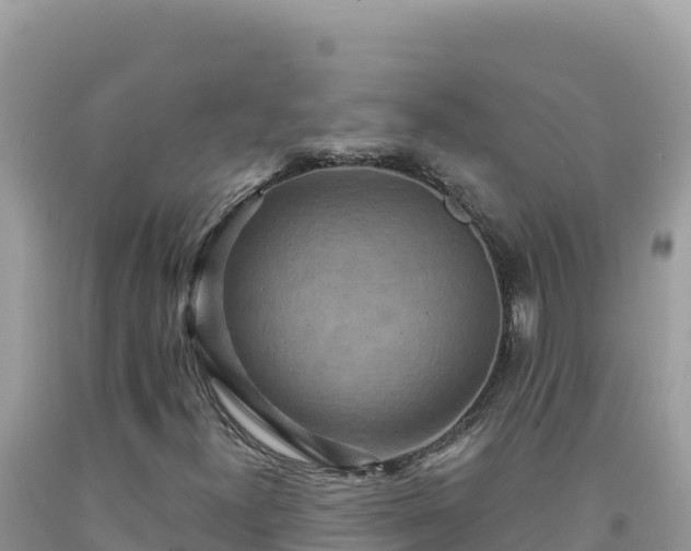 X0000092031300200709131610
