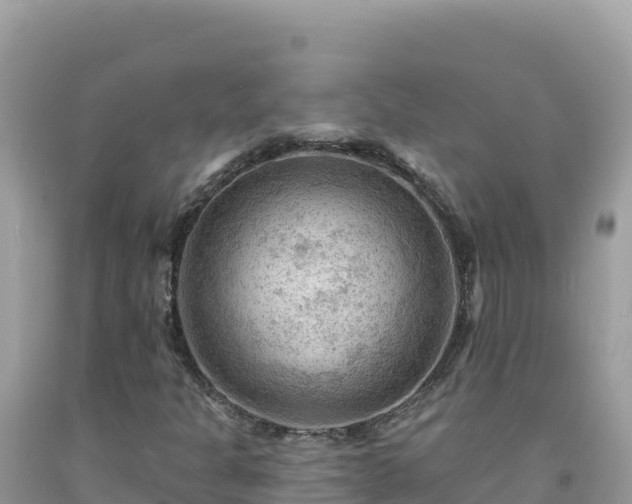 X0000092031301200709131610