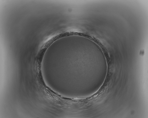X0000092031303200709131610