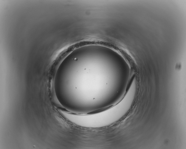 X0000092031304200709131610