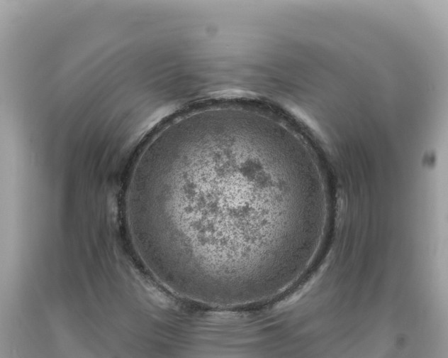 X0000092031305200709131611