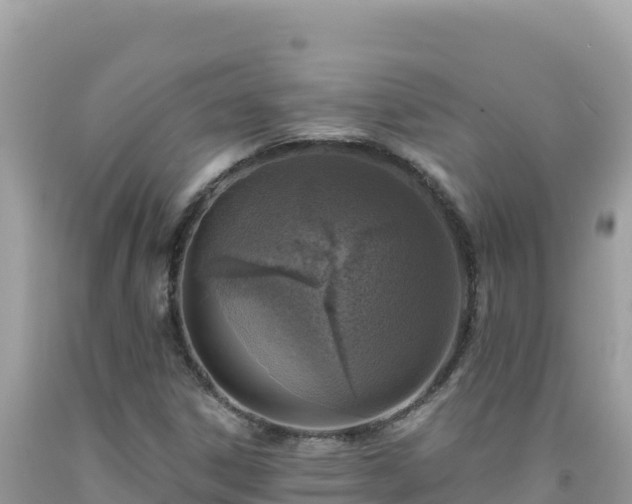 X0000092031306200709131611