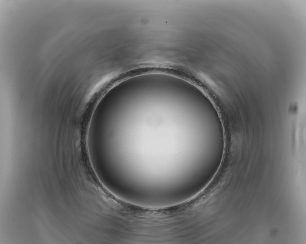 X0000092031307200709131611