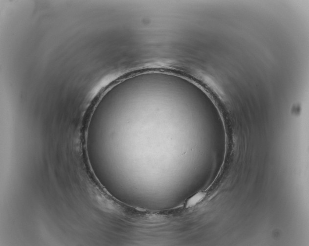 X0000092031308200709131611