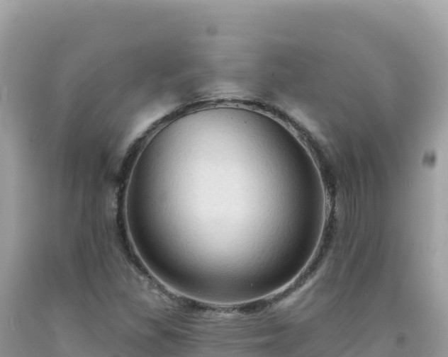 X0000092031309200709131611