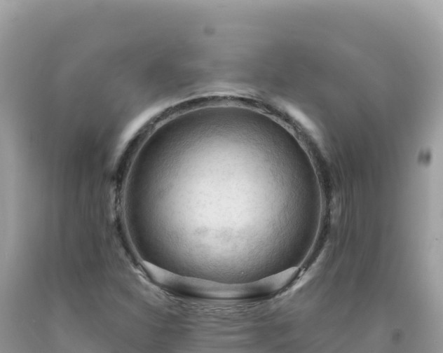 X0000092031310200709131611