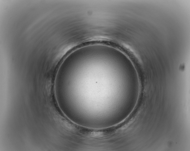X0000092031313200709131611