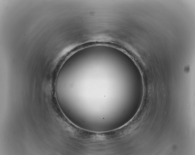 X0000092031315200709131611
