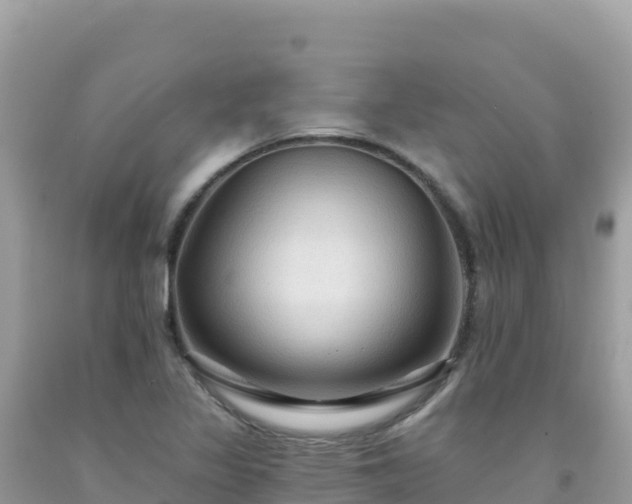 X0000092031317200709131611