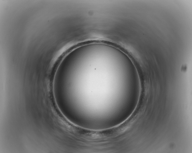 X0000092031318200709131611