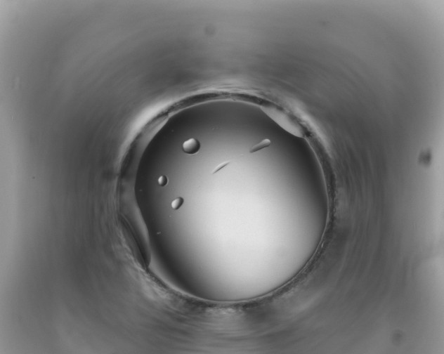 X0000092031320200709131611