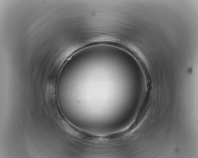 X0000092031321200709131611