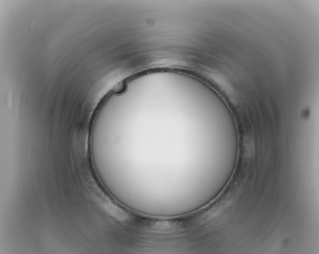 X0000092031322200709131611