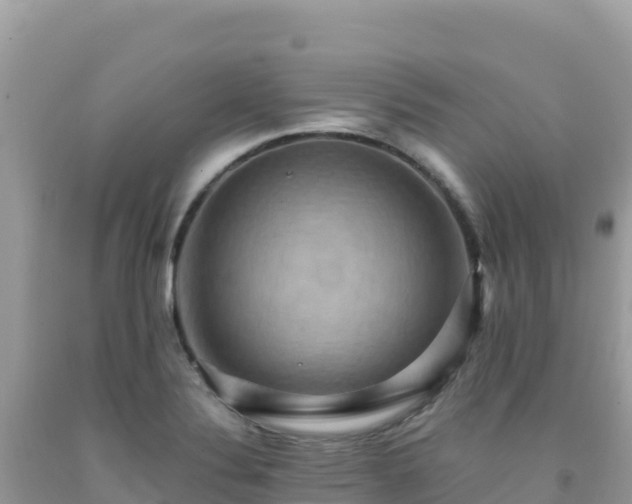 X0000092031324200709131611