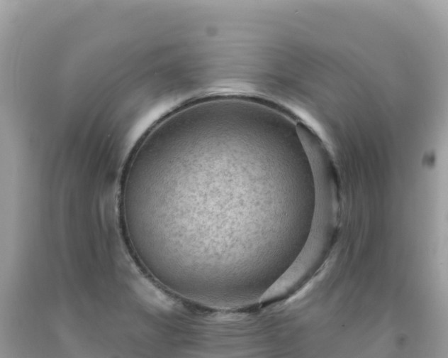 X0000092031325200709131611