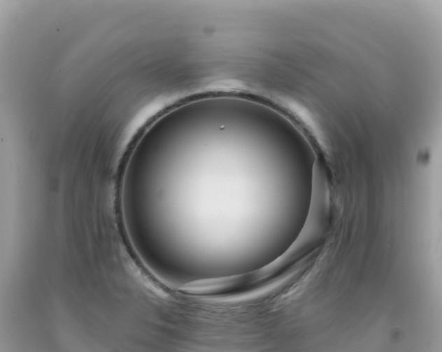 X0000092031326200709131611