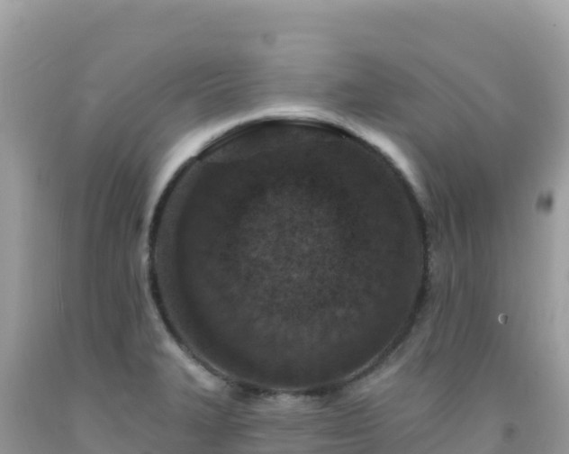 X0000092031327200709131611