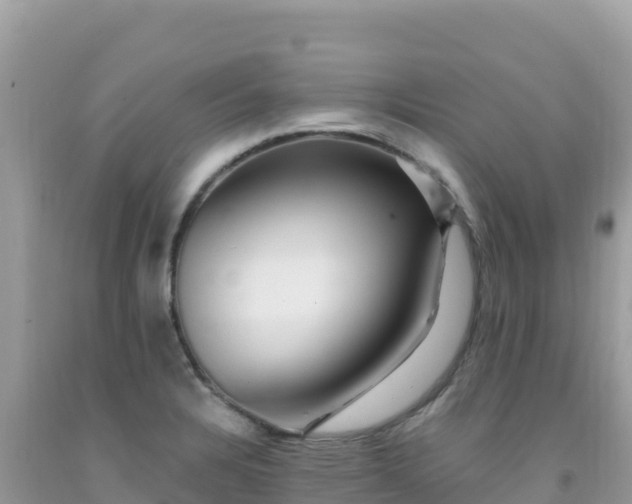 X0000092031328200709131611