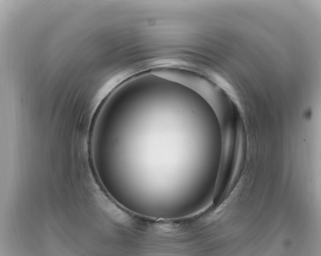 X0000092031330200709131611