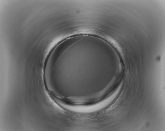 X0000092031334200709131611