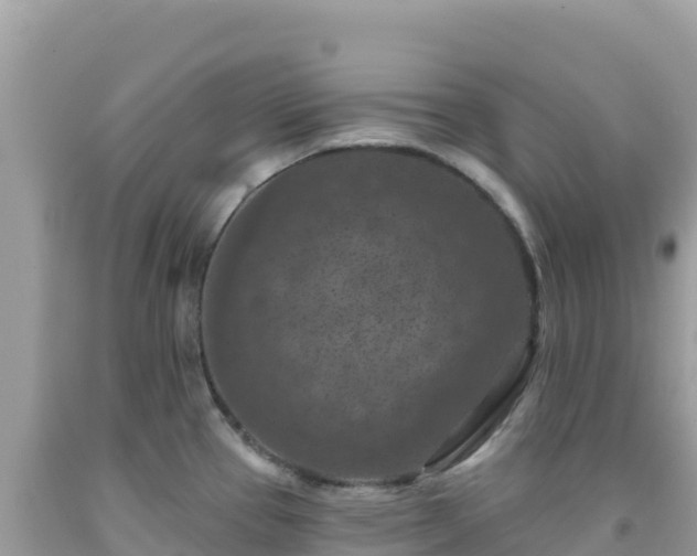 X0000092031337200709131611