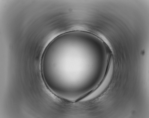 X0000092031339200709131611