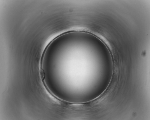 X0000092031343200709131611
