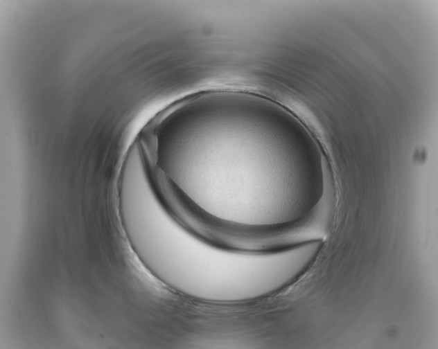 X0000092031344200709131611