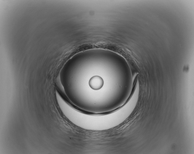 X0000092031345200709131610